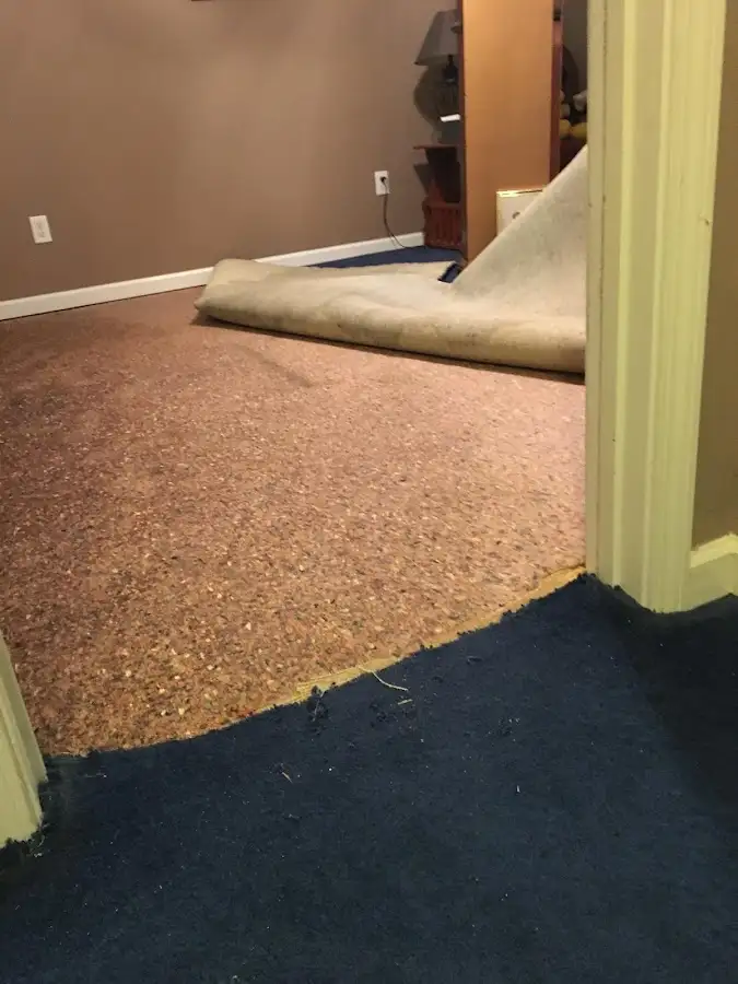 Carpet pad removal revealing water damage during Drying & Dehumidification in Denton