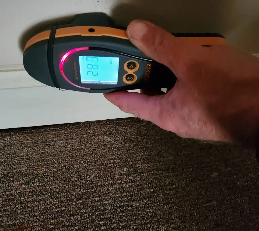 Moisture detection at baseboard during Mold Inspection & Testing in Denton